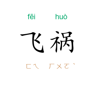 飞祸