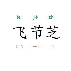 飞节芝