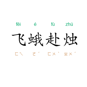 飞蛾赴烛