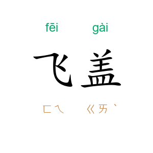 飞盖