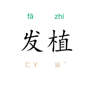发植
