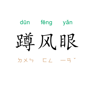 蹲风眼