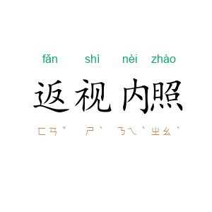 返视内照