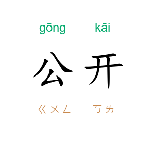 公开
