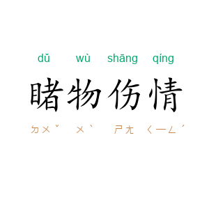 睹物伤情