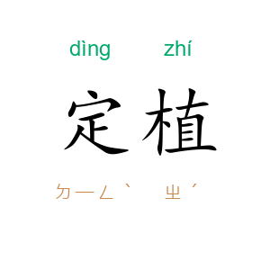 定植