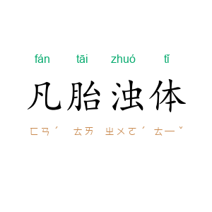 凡胎浊体