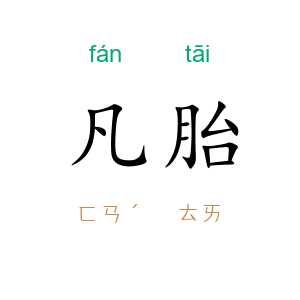 凡胎