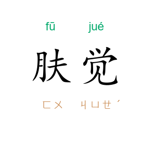 肤觉