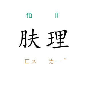 肤理