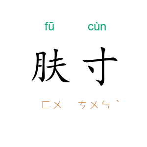 肤寸