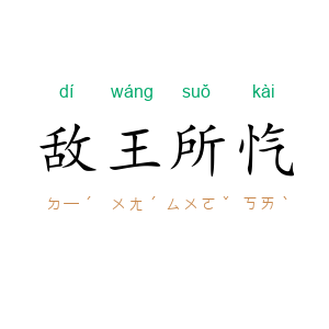 敌王所忾