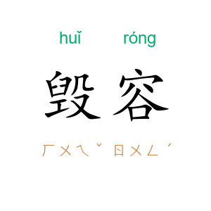 毁容