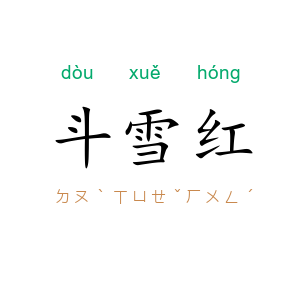 斗雪红