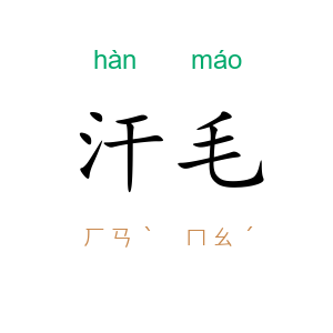 汗毛