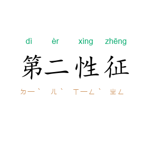 第二性征