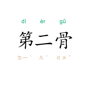 第二骨