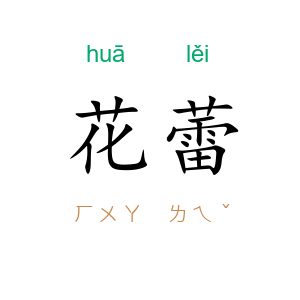 花蕾