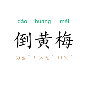 倒黄梅