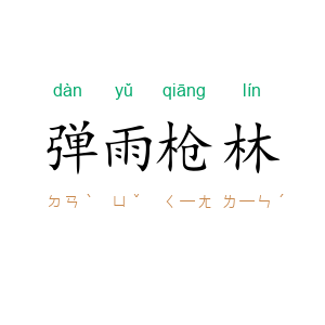 弹雨枪林