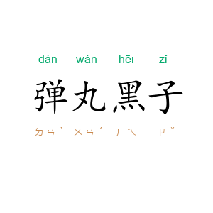 弹丸黑子