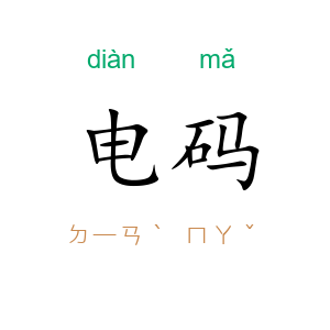 电码