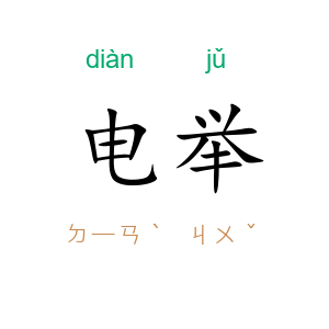 电举
