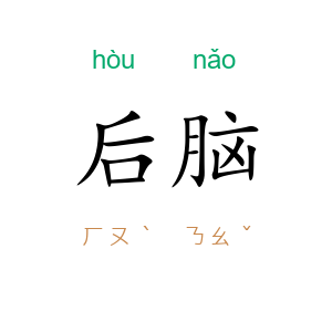 后脑