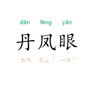 丹凤眼