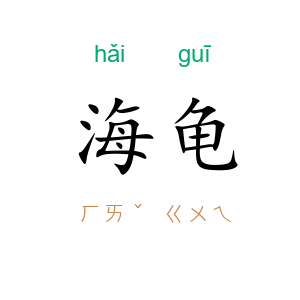 海龟