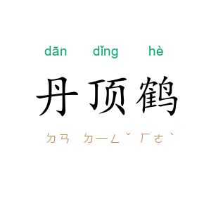 丹顶鹤
