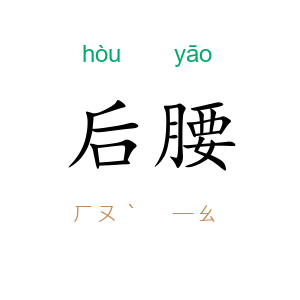 后腰