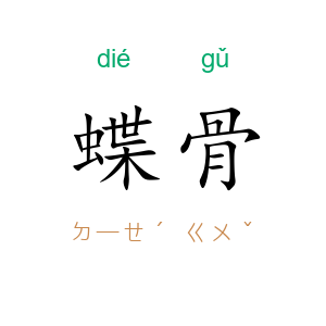 蝶骨