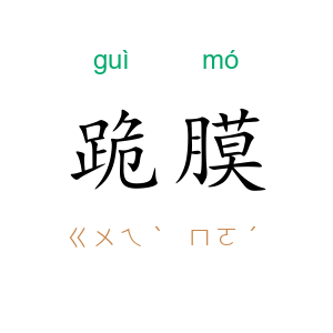 跪膜