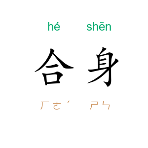 合身