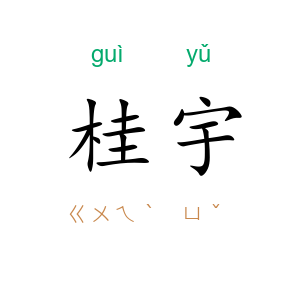 桂宇