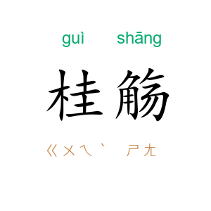 桂觞