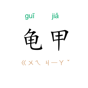 龟甲