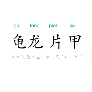 龟龙片甲