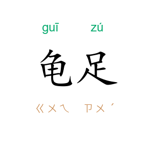 龟足