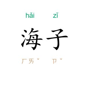 海子