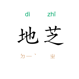 地芝