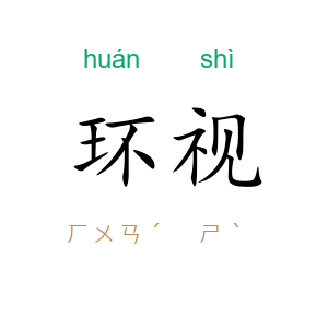 环视