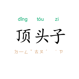 顶头子