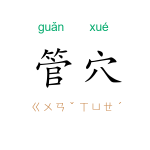 管穴