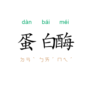 蛋白酶