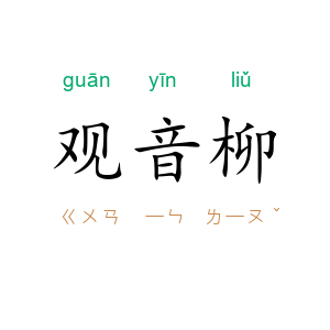 观音柳