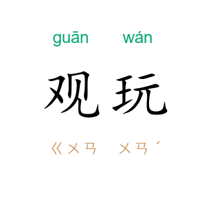 观玩