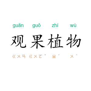 观果植物