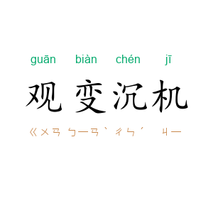 观变沉机